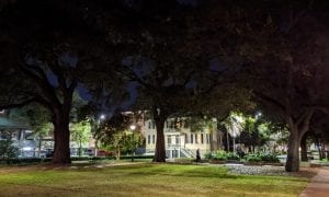 Shadow Figure in Savannah Squares - on Mad Cat Tours